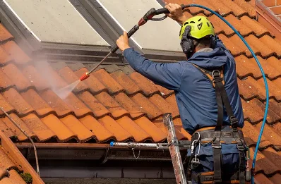 Démoussage et hydrofuge de toiture à Lanfains